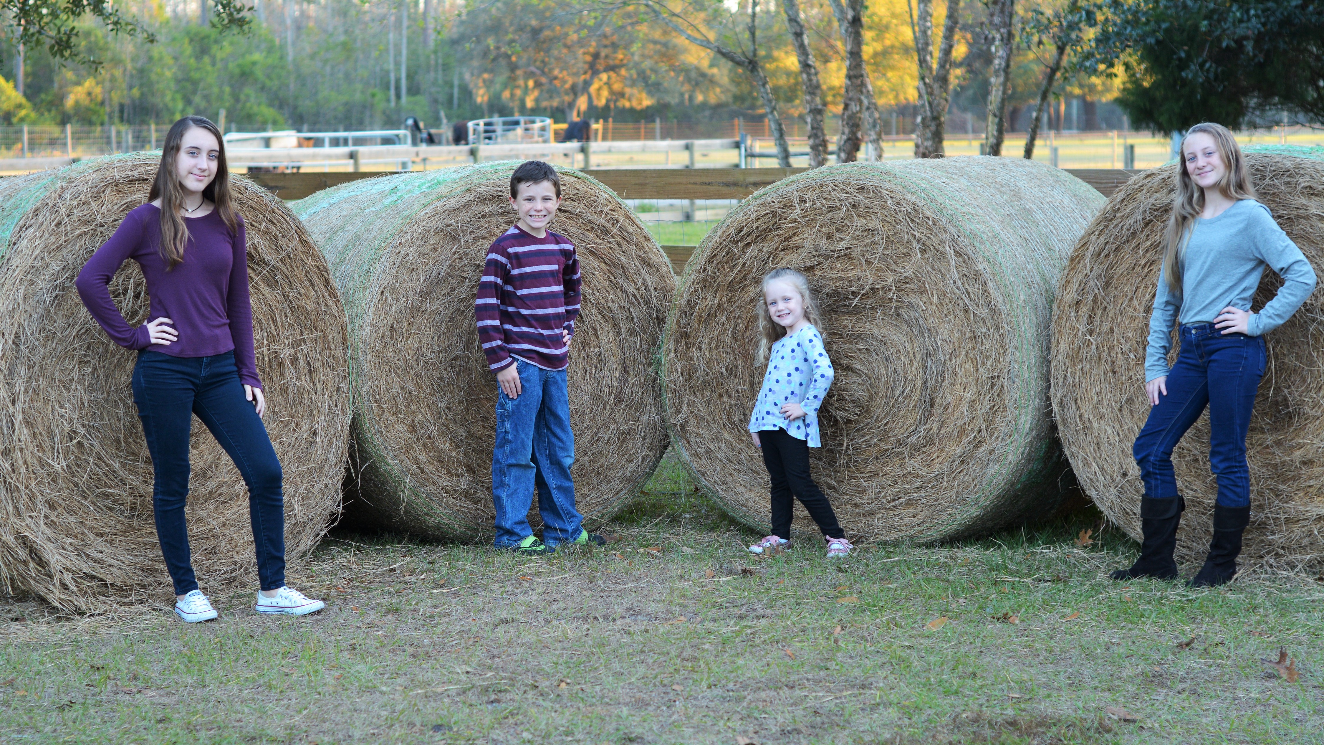 Children In Front Of Hay 